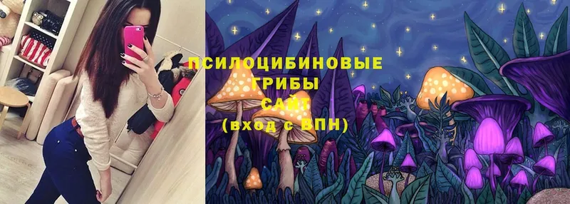 Галлюциногенные грибы Cubensis  Кыштым 