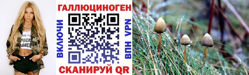 Галлюциногенные грибы мухоморы  Кыштым 