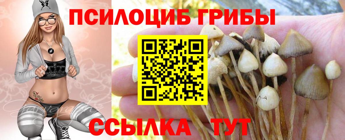 Псилоцибиновые грибы мухоморы Кыштым