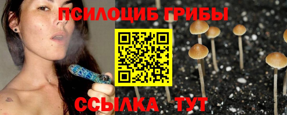 Кыштым  Галлюциногенные грибы Cubensis  Вход с VPN  Галлюциногенные грибы Psilocybine cubensis 